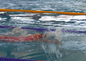 City competition in swimming