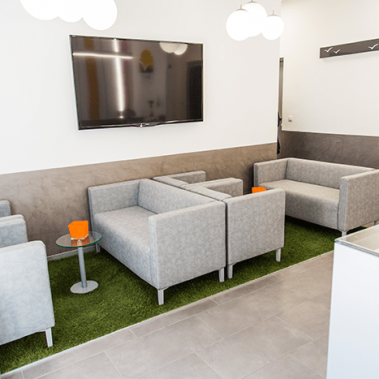 Entrance and reception