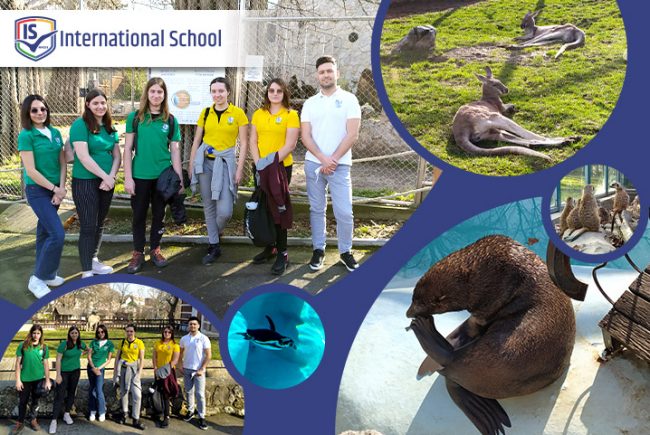 IS_fea_y11y13zoo Zoo