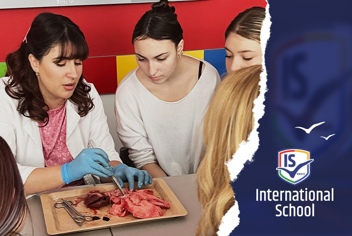 Biology students explore anatomy